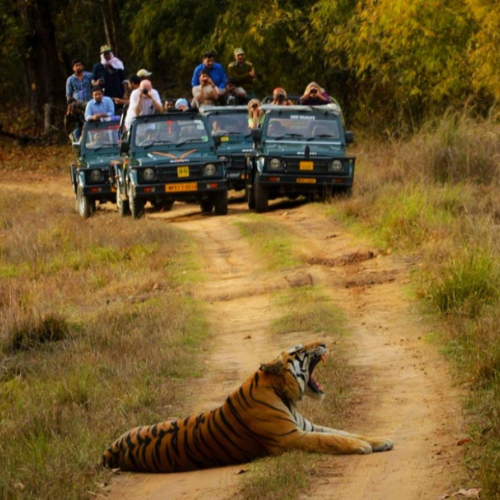 Kanha National Park